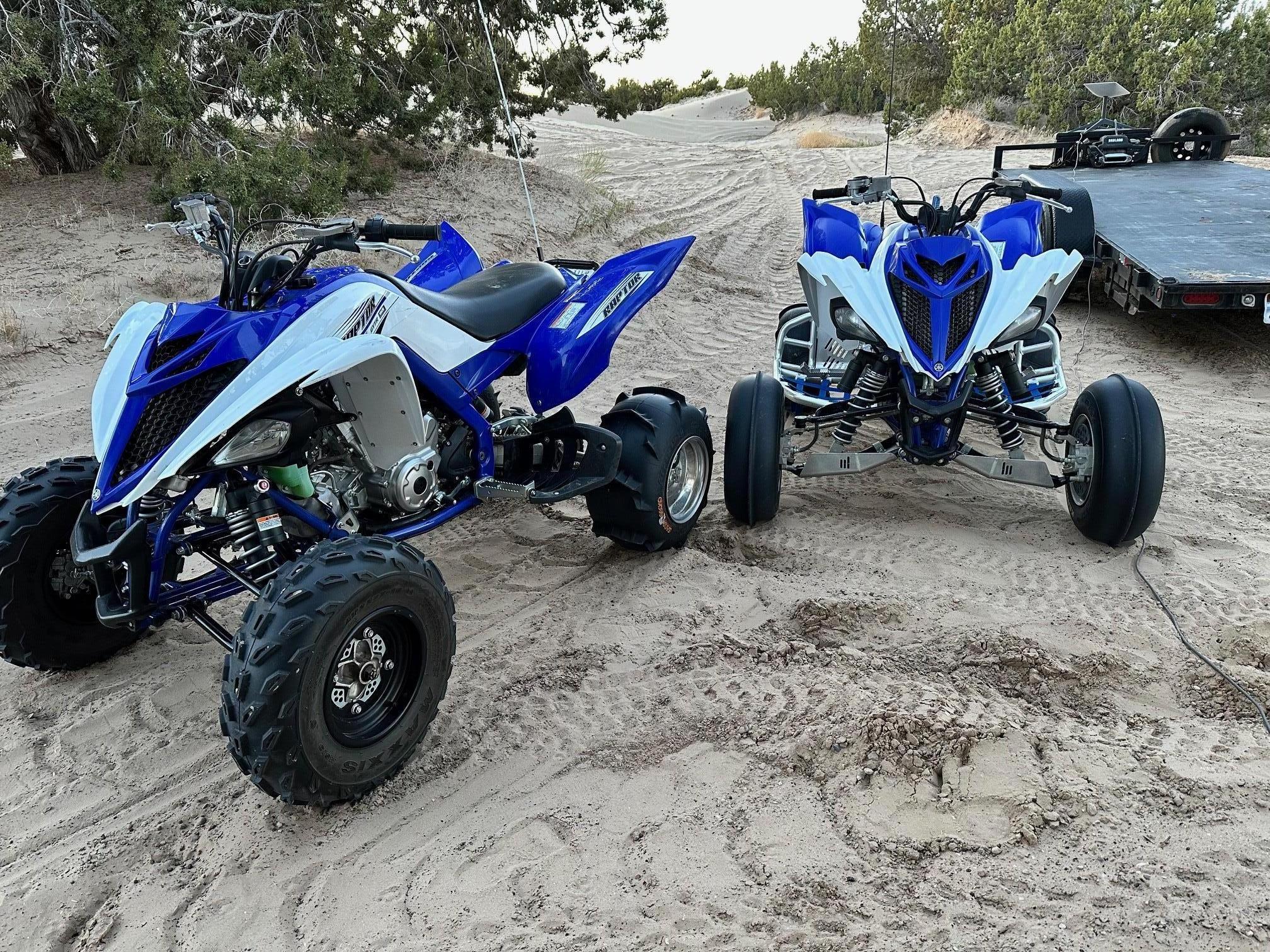 raptor